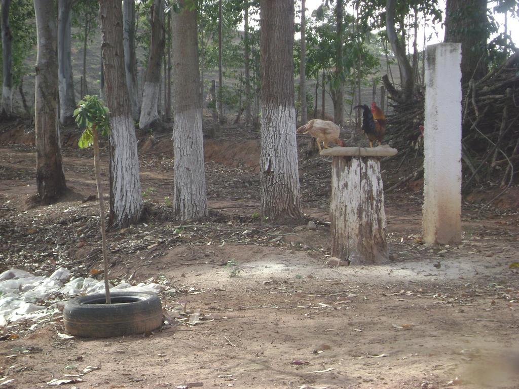 Pousada Dos Tucanos São Tomé das Letras Kültér fotó